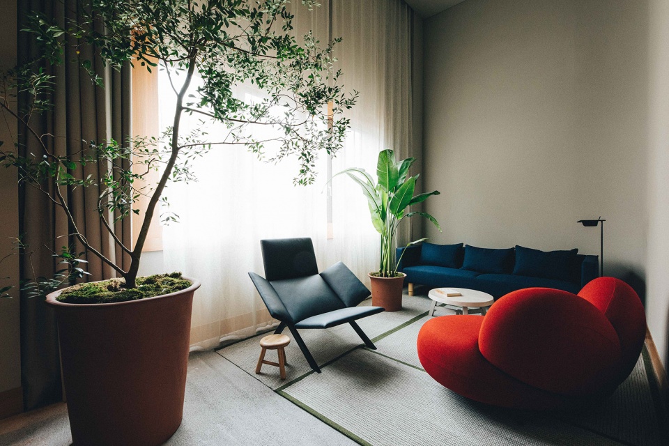 鄭州時(shí)尚精品酒店裝修設(shè)計(jì)公司案例(圖5) 鄭州時(shí)尚精品酒店裝修設(shè)計(jì)公司案例(圖5)