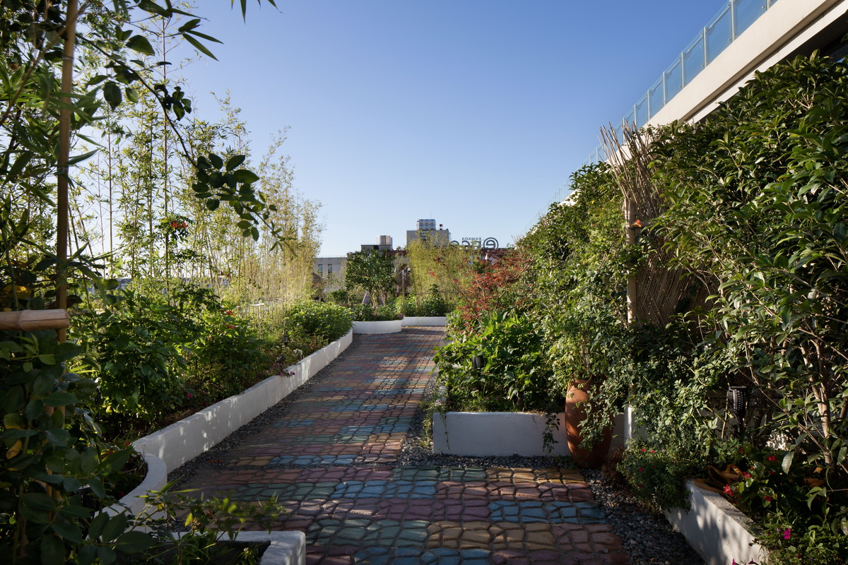 1560217340156189.jpg 調(diào)整大小 8.jpg