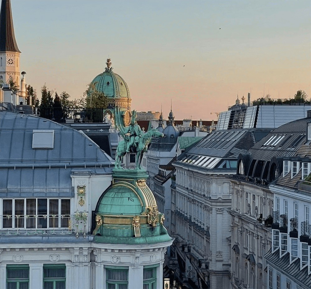 酒店設(shè)計公司推薦維也納瑰麗酒店裝修案例(圖8) 酒店設(shè)計公司推薦維也納瑰麗酒店裝修案例(圖8)