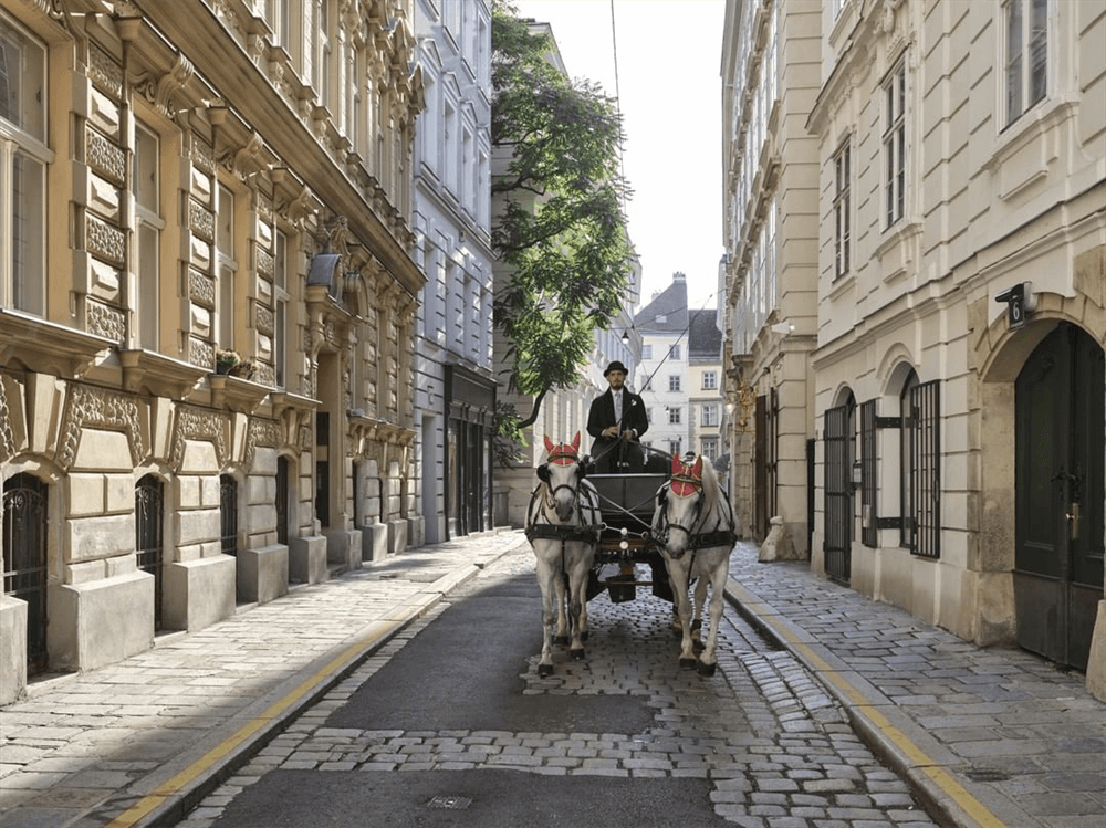 酒店設(shè)計公司推薦維也納瑰麗酒店裝修案例(圖10) 酒店設(shè)計公司推薦維也納瑰麗酒店裝修案例(圖10)