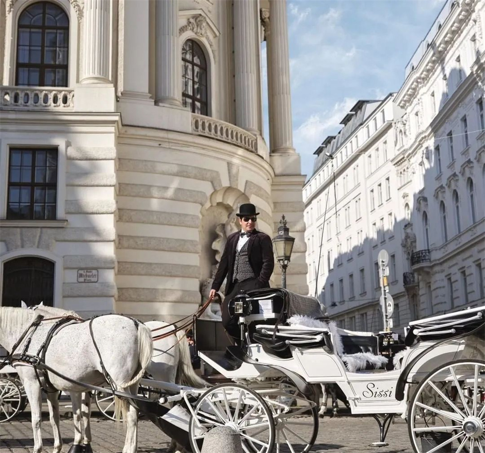 酒店設(shè)計公司推薦維也納瑰麗酒店裝修案例(圖11) 酒店設(shè)計公司推薦維也納瑰麗酒店裝修案例(圖11)