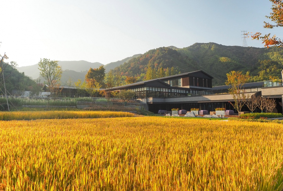 度假酒店設計公司柏翠姚良酒店裝修案例(圖12) ajbcyldjjd-18.jpg